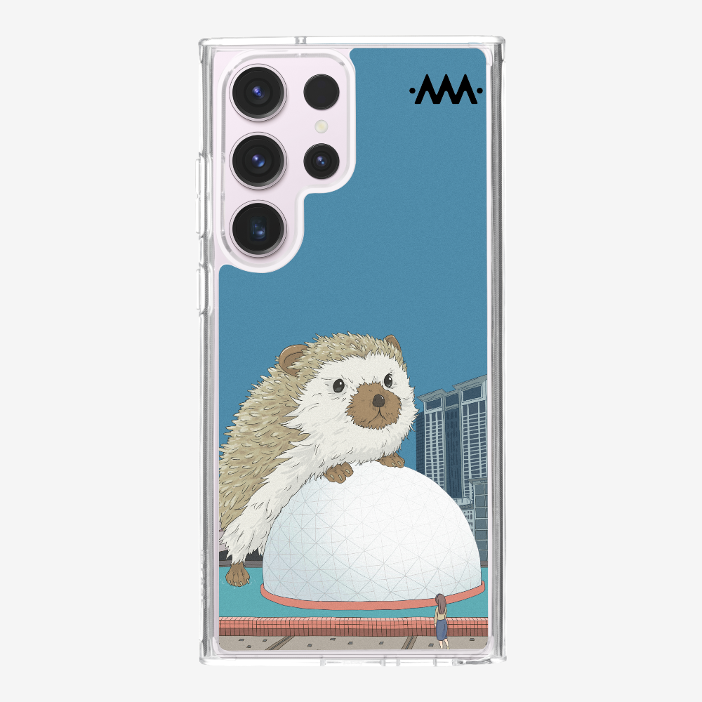 13556850_pos2.png