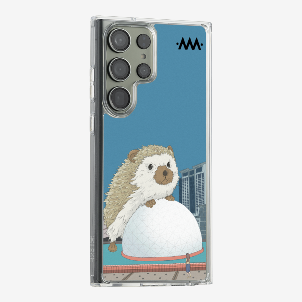 13556850_pos5.png
