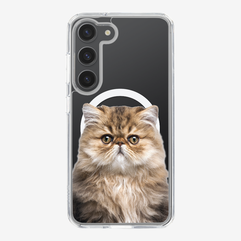 Persian Kitten (Transparent) Phone Case