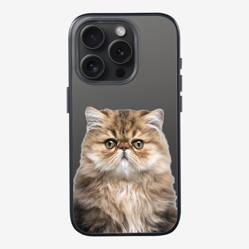 Persian Kitten (Transparent) Phone Case