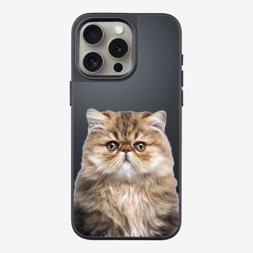 Persian Kitten (Transparent) Phone Case