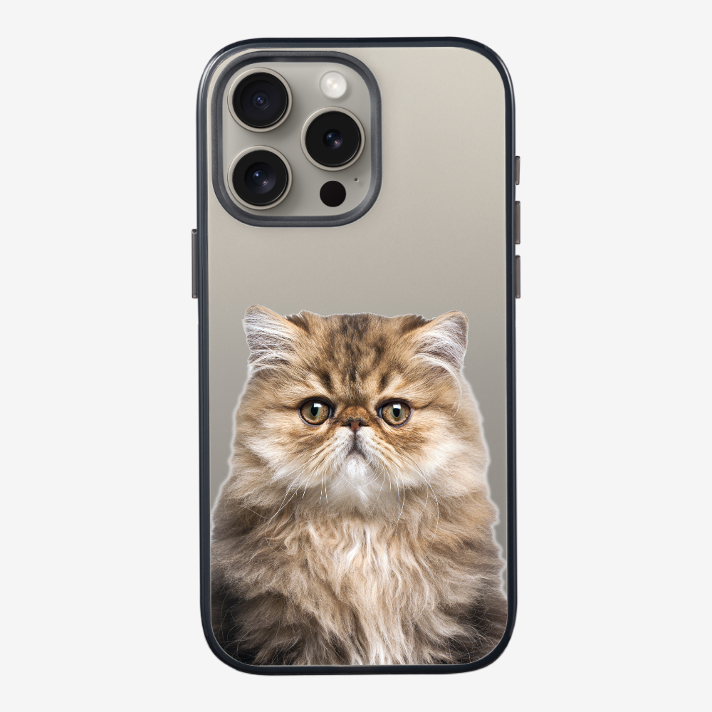 Persian Kitten (Transparent) Phone Case