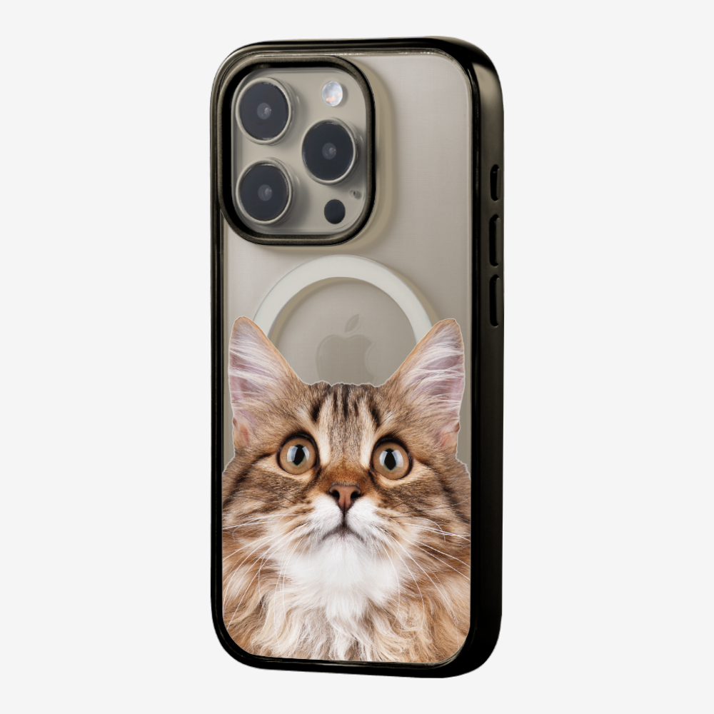 Long-haired Kitten (Transparent) Phone Case
