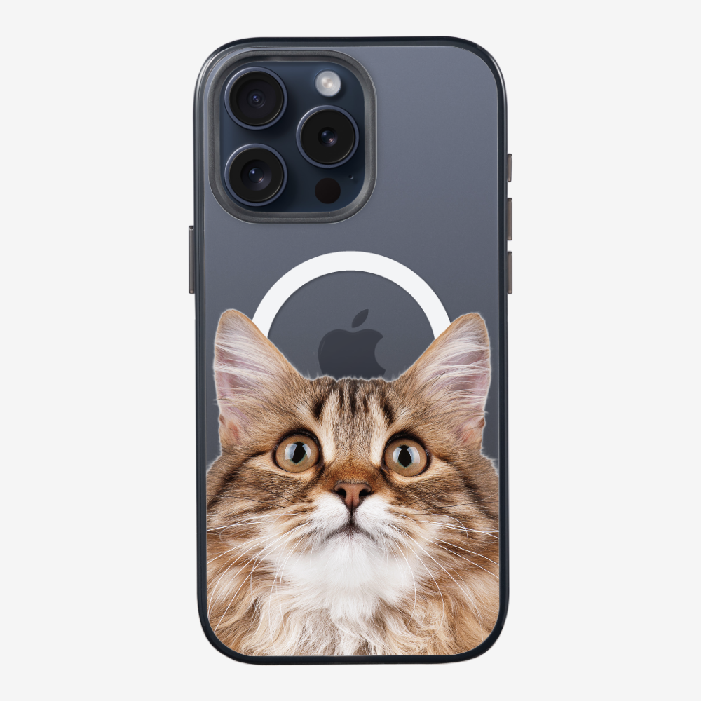 Long-haired Kitten (Transparent) Phone Case