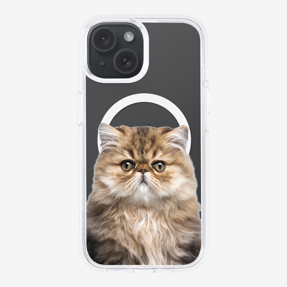 Persian Kitten (Transparent) Phone Case