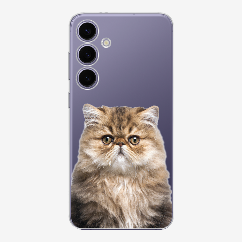 Persian Kitten (Transparent) Phone Case