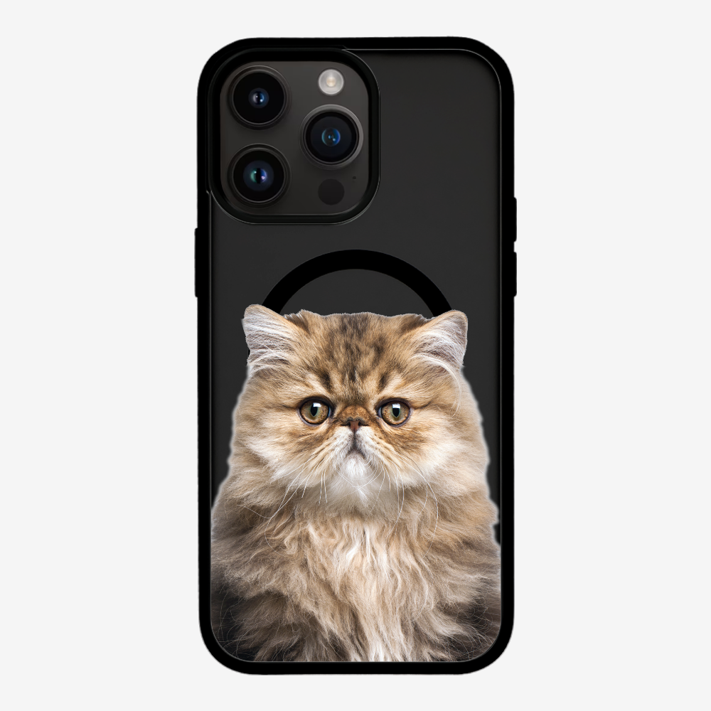 Persian Kitten (Transparent) Phone Case