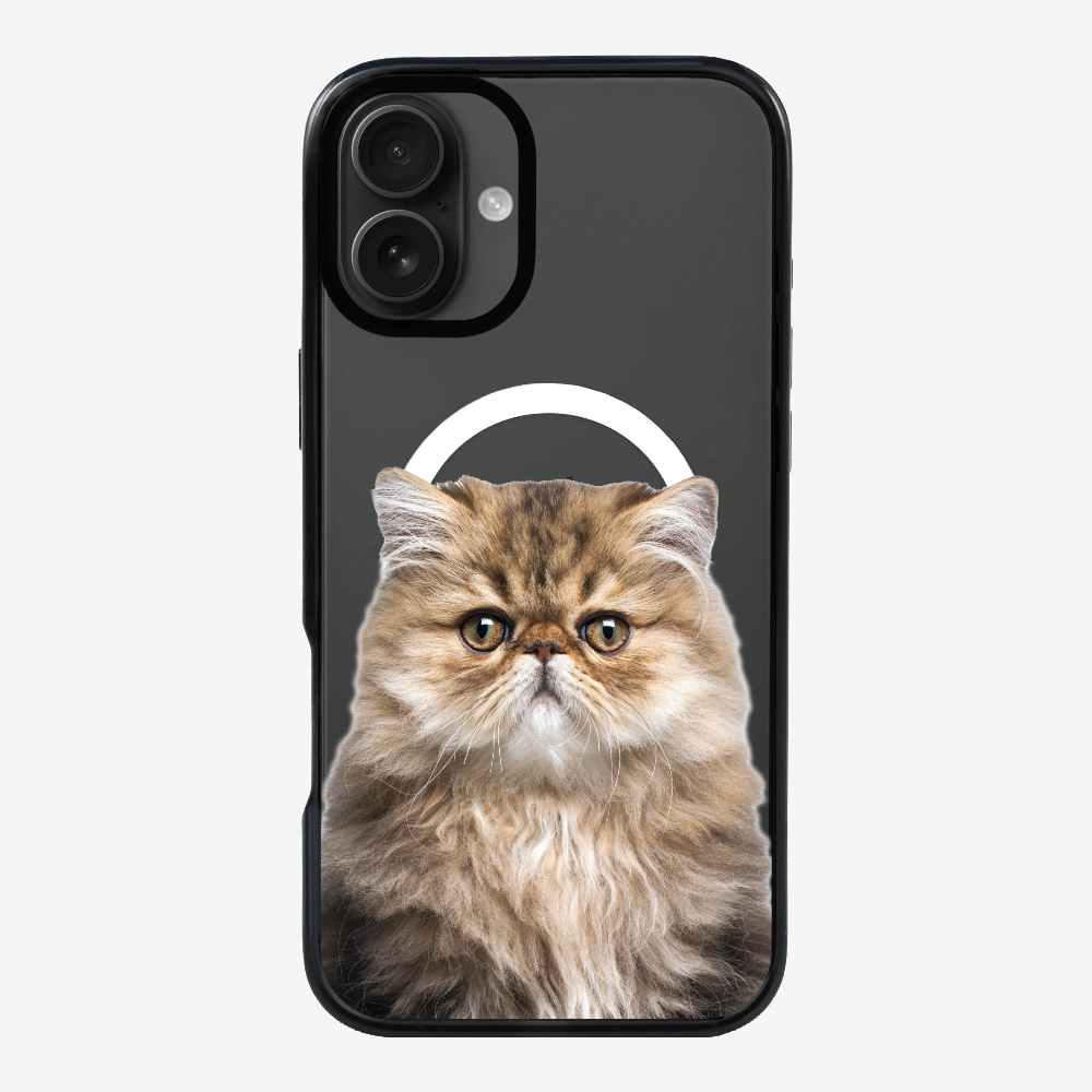 Persian Kitten (Transparent) Phone Case