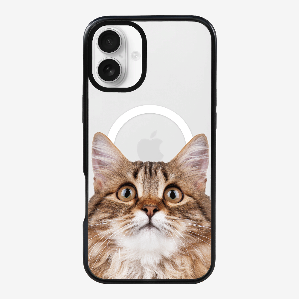 Long-haired Kitten (Transparent) Phone Case
