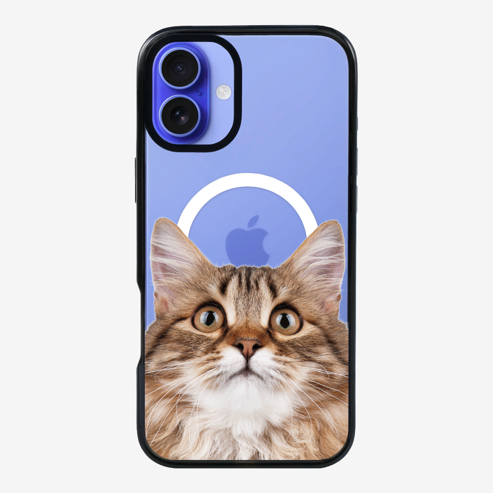 Long-haired Kitten (Transparent) Phone Case