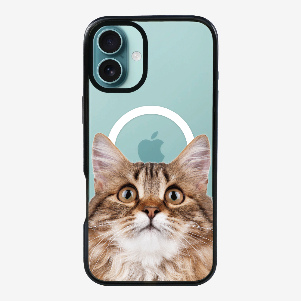 Long-haired Kitten (Transparent) Phone Case