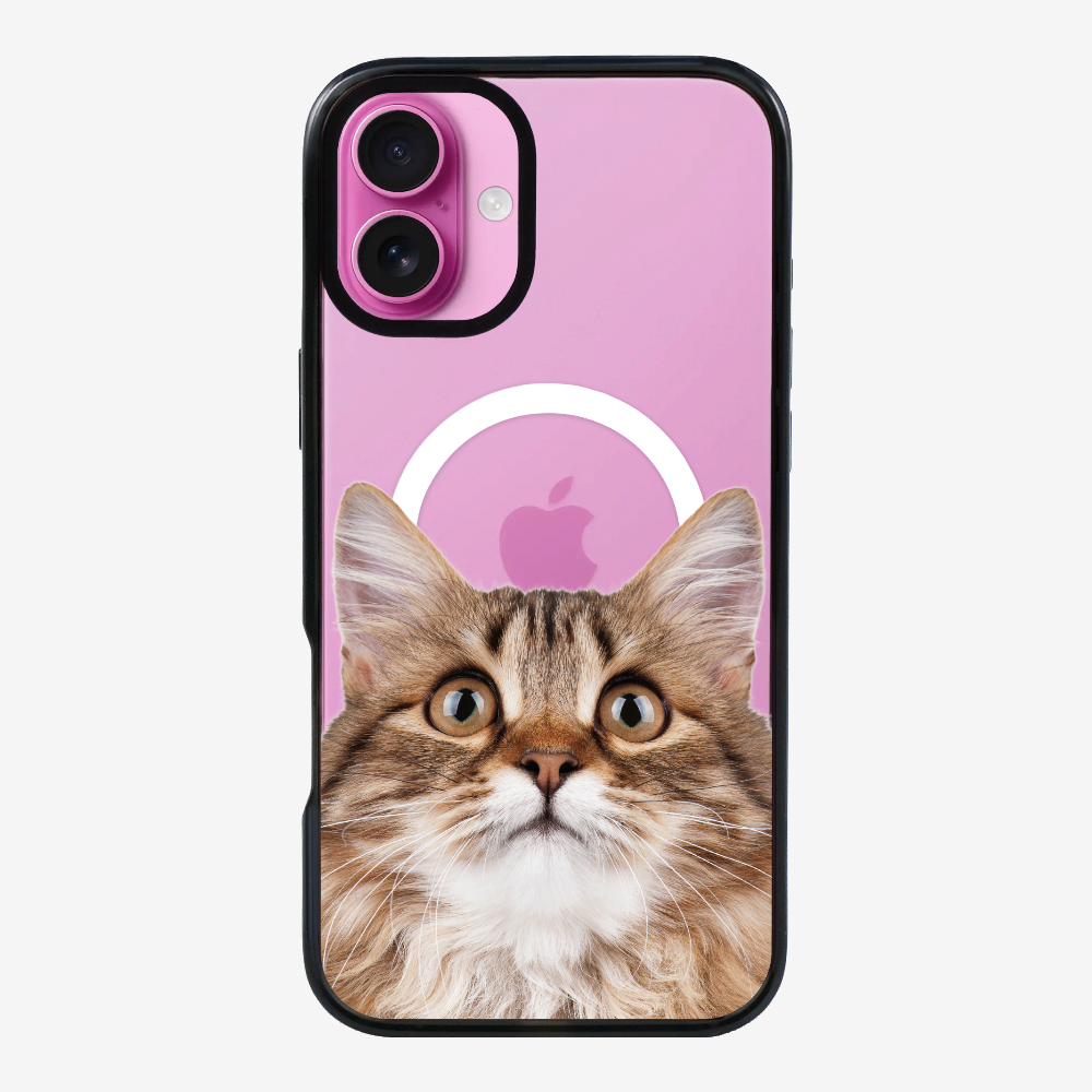 Long-haired Kitten (Transparent) Phone Case