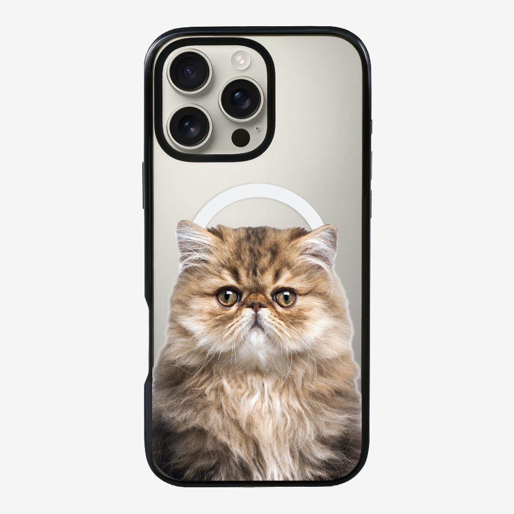 Persian Kitten (Transparent) Phone Case