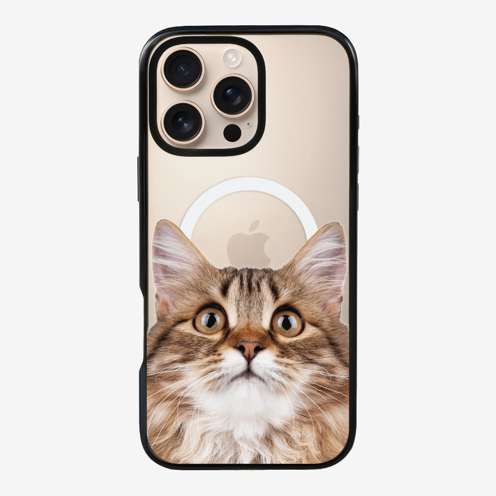 Long-haired Kitten (Transparent) Phone Case