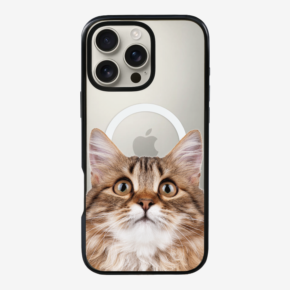 Long-haired Kitten (Transparent) Phone Case