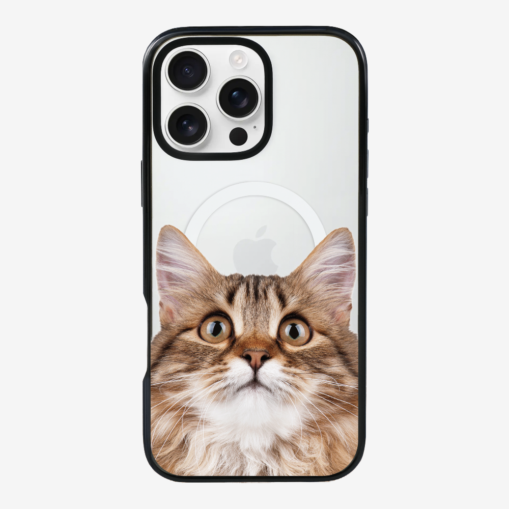 Long-haired Kitten (Transparent) Phone Case