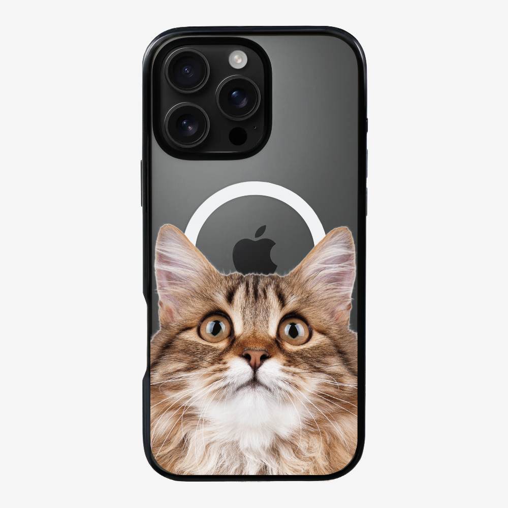 Long-haired Kitten (Transparent) Phone Case