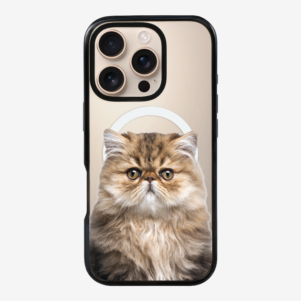 Persian Kitten (Transparent) Phone Case