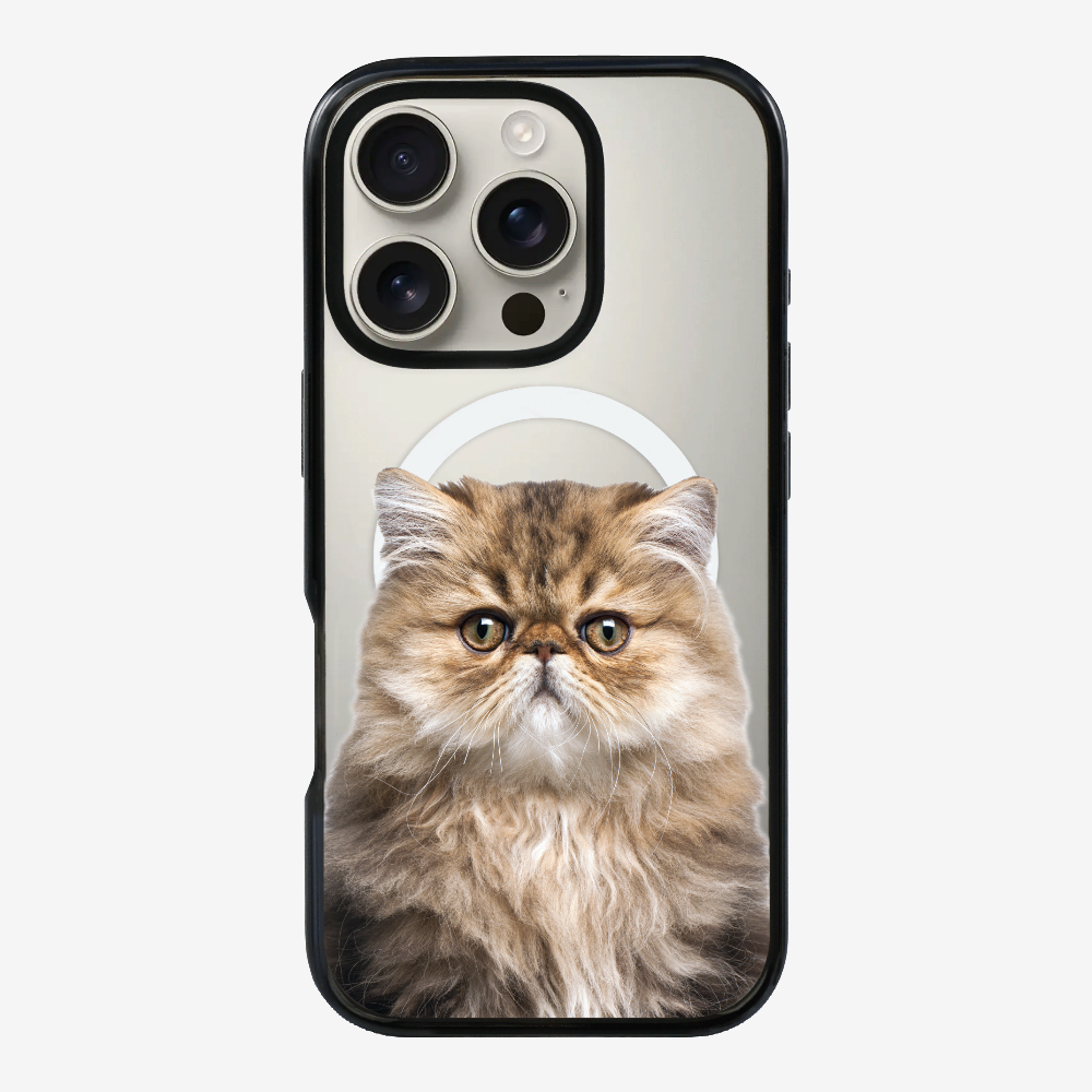 Persian Kitten (Transparent) Phone Case