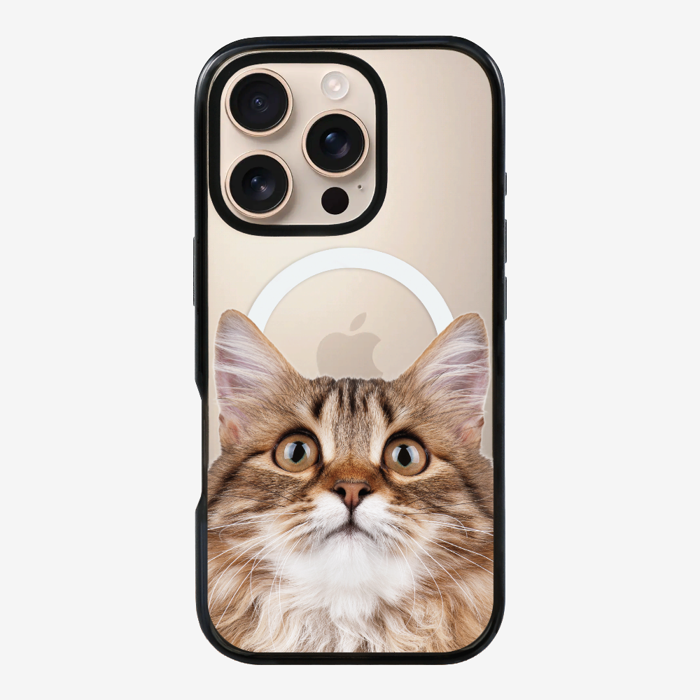 Long-haired Kitten (Transparent) Phone Case
