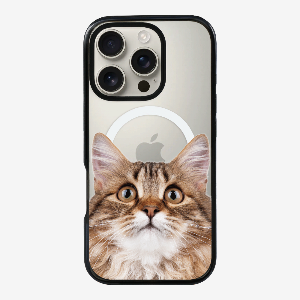 Long-haired Kitten (Transparent) Phone Case