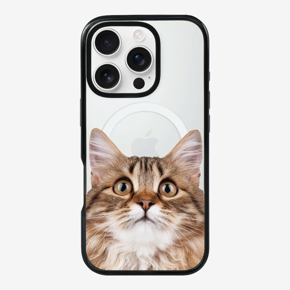 Long-haired Kitten (Transparent) Phone Case
