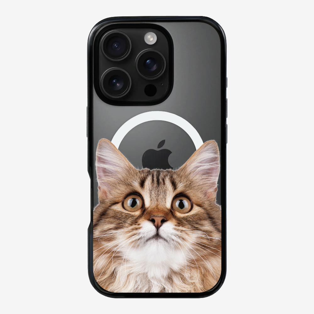 Long-haired Kitten (Transparent) Phone Case