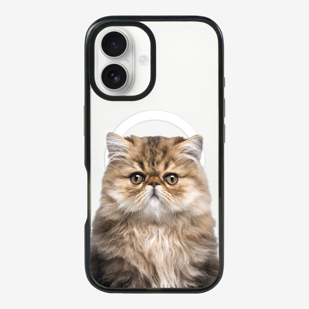 Persian Kitten (Transparent) Phone Case