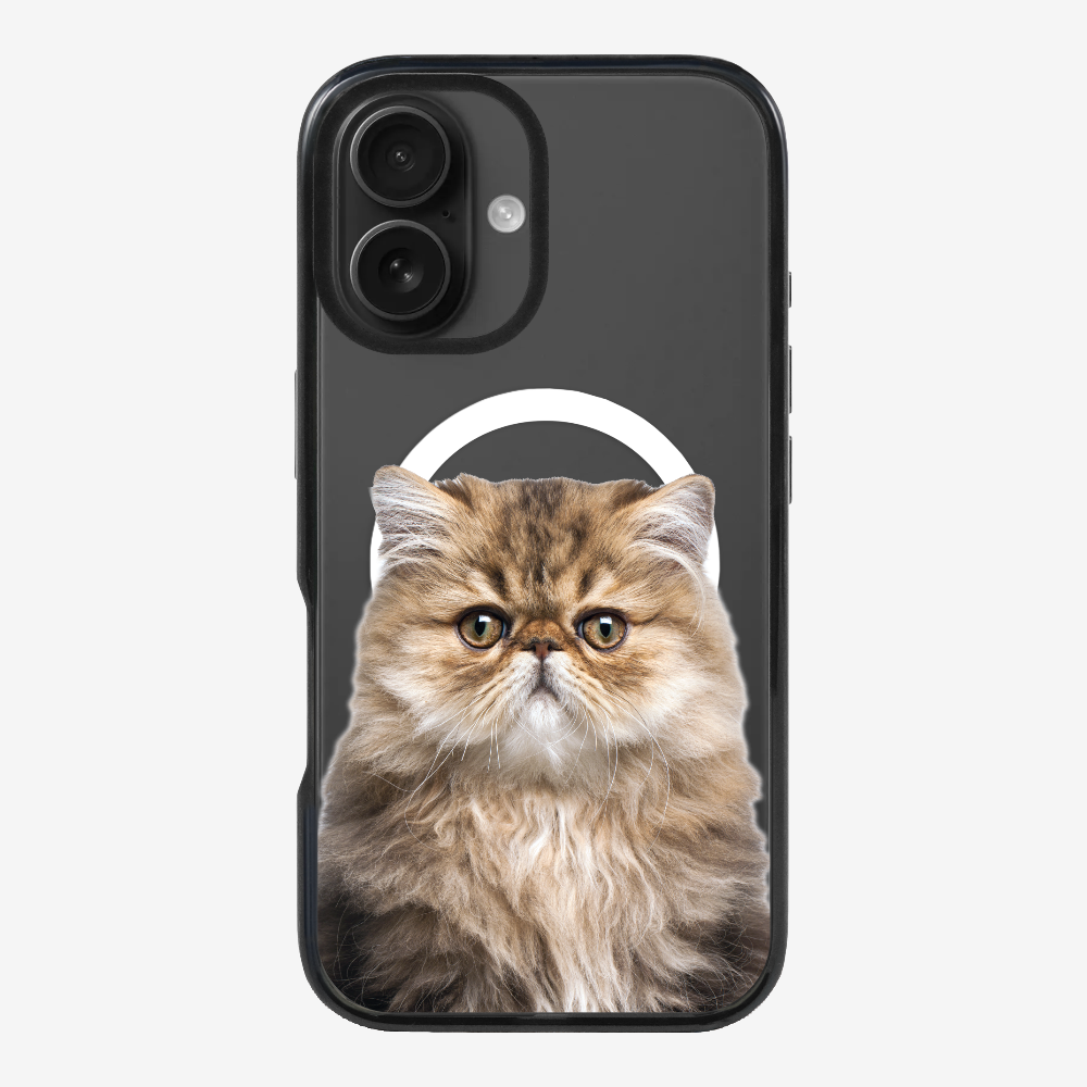 Persian Kitten (Transparent) Phone Case