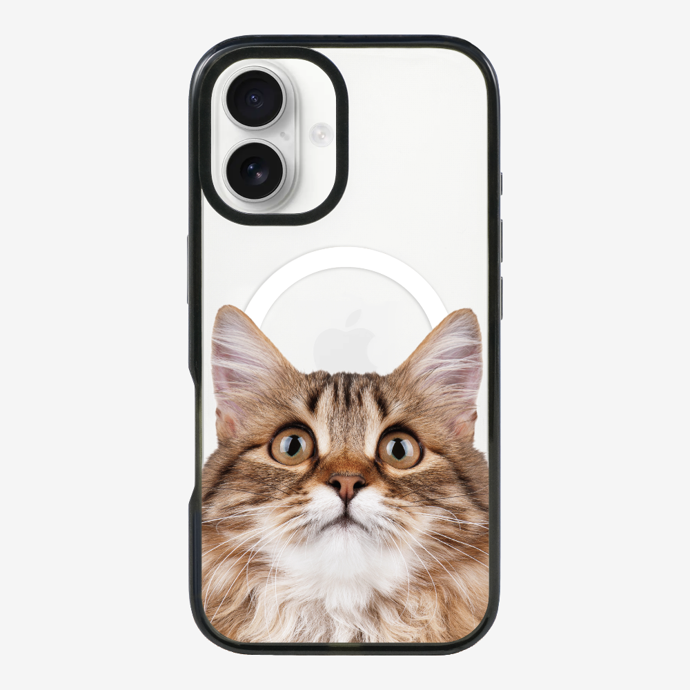 Long-haired Kitten (Transparent) Phone Case