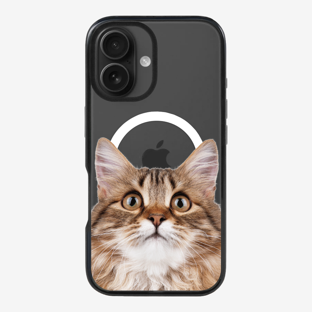 Long-haired Kitten (Transparent) Phone Case