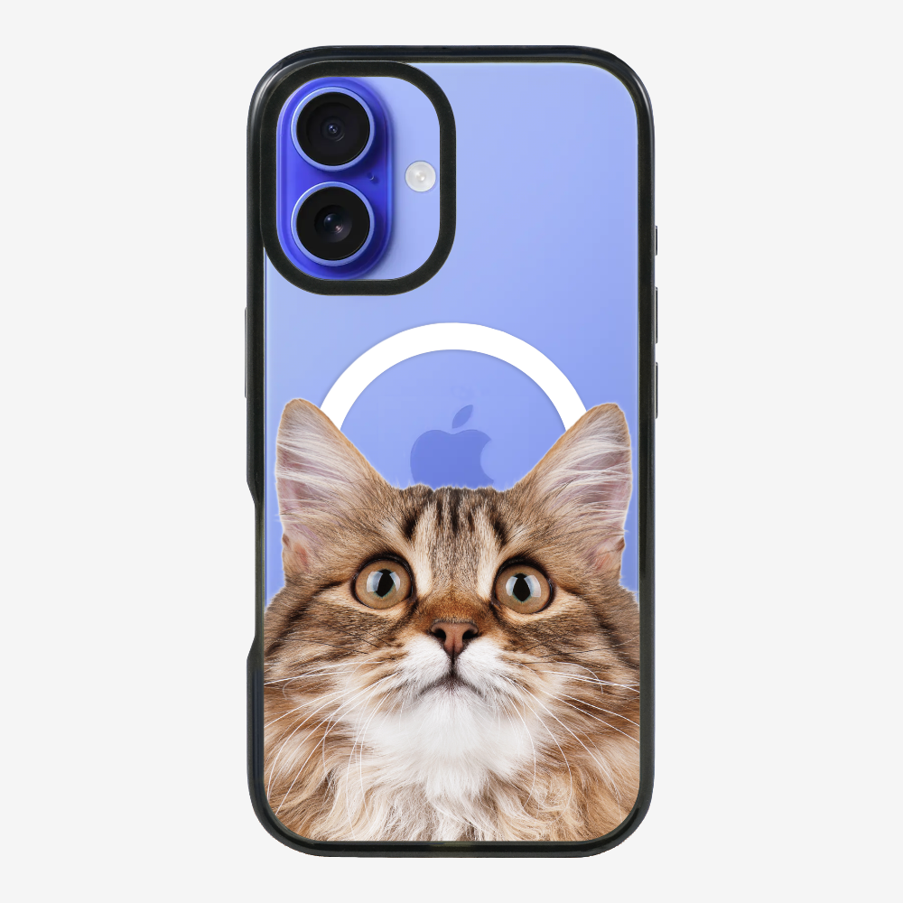 Long-haired Kitten (Transparent) Phone Case