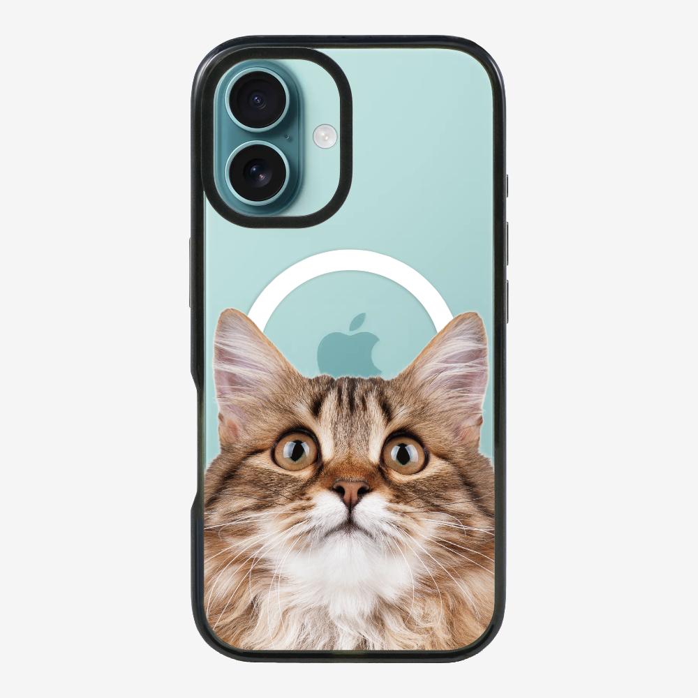 Long-haired Kitten (Transparent) Phone Case